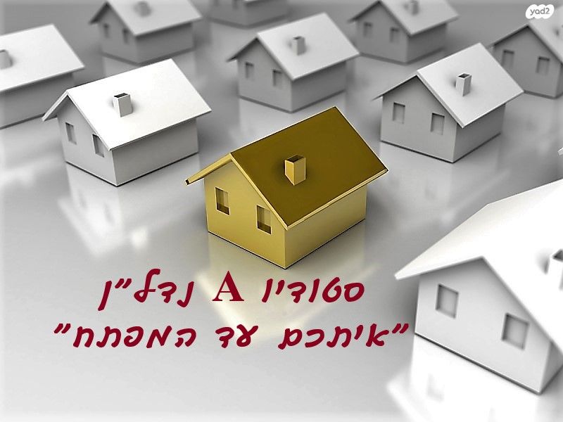 הלולב 