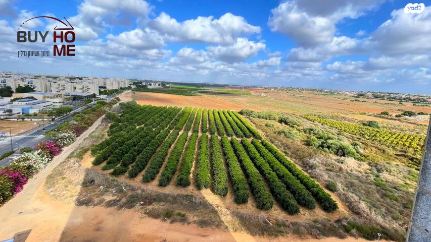 בני וו. רייך 4