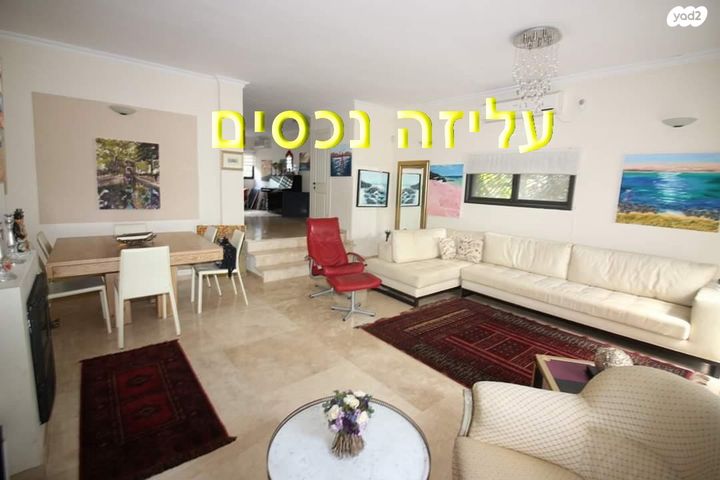 לסטר/רבוצקי