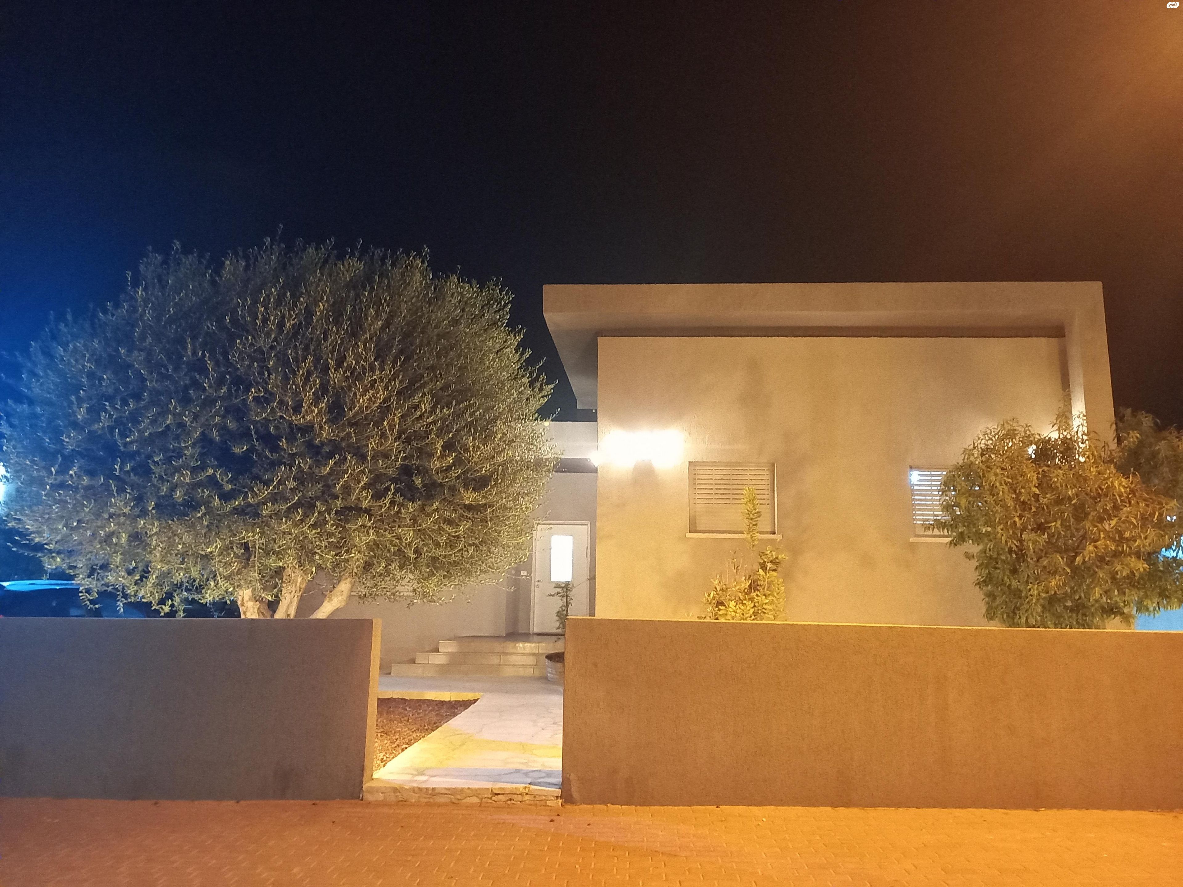 הגפן 226