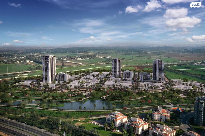 יער ביריה 1