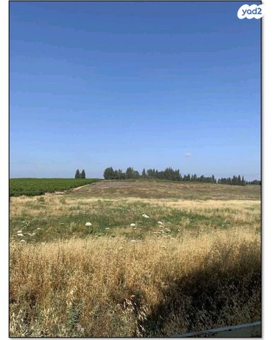 מגרשים, לויטס, חדרה