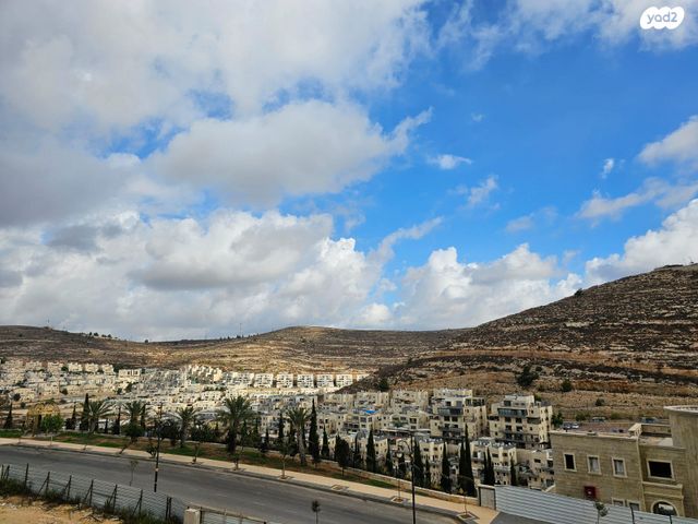 דו משפחתי, החליל, שאר העיר, גבעת זאב