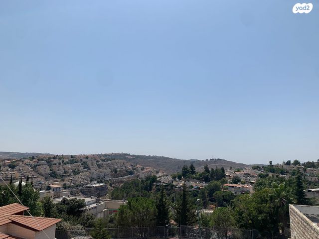 המכבים 