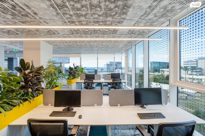 משרדים, חיפה