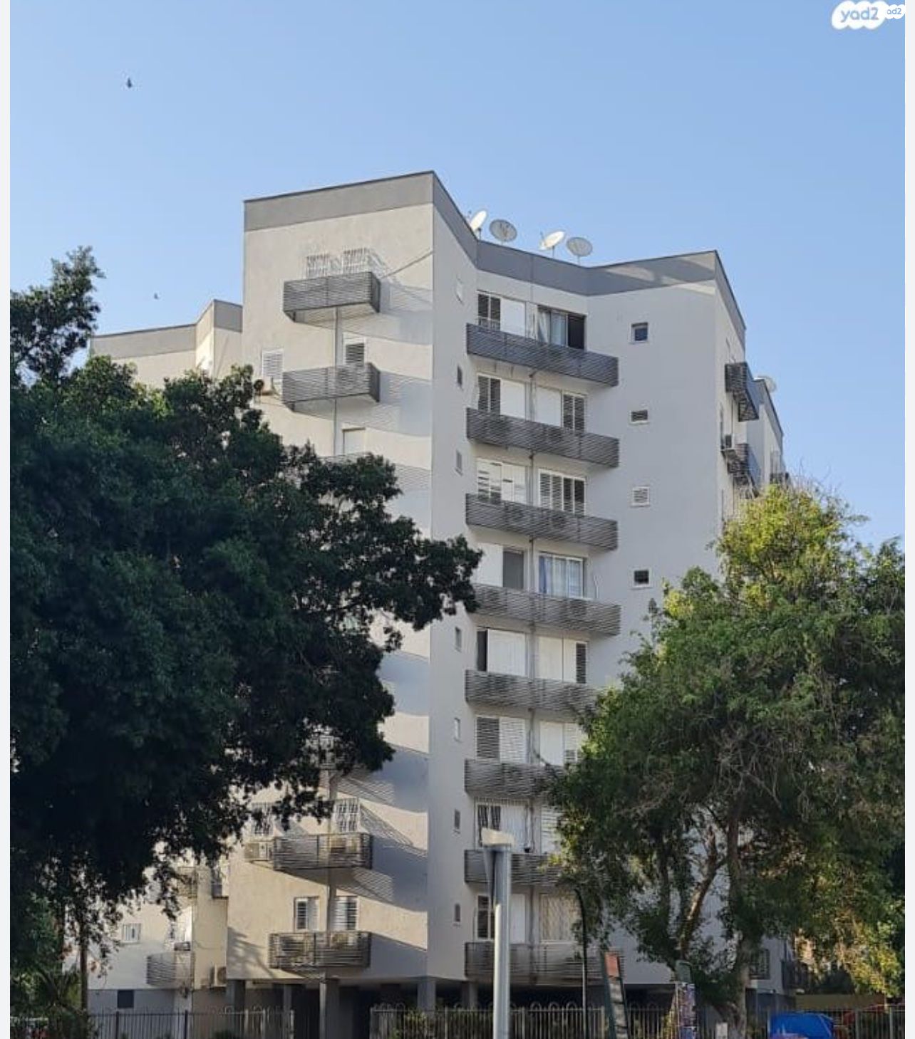 ד"ר שמורק 