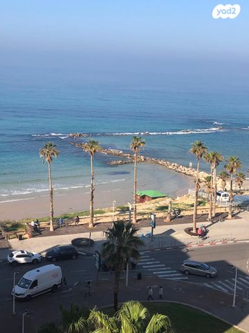 ז'בוטינסקי 2