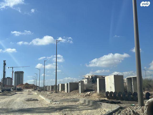 אריאל שרון 10