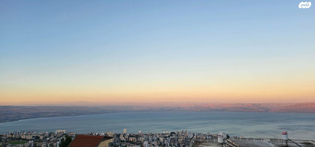 רקפת 