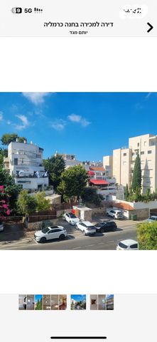 דירה, חנה, חיפה