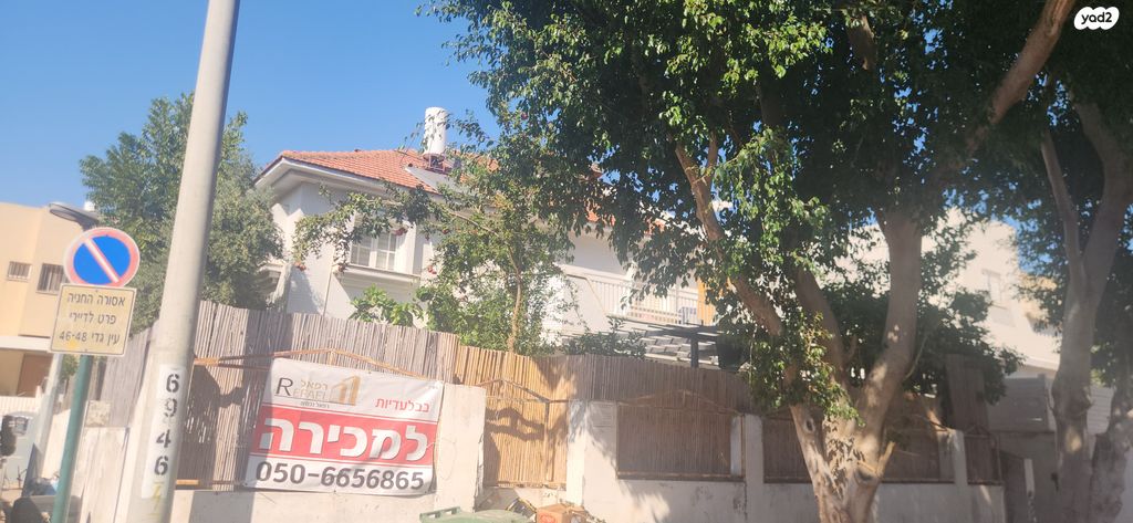 עין גדי 