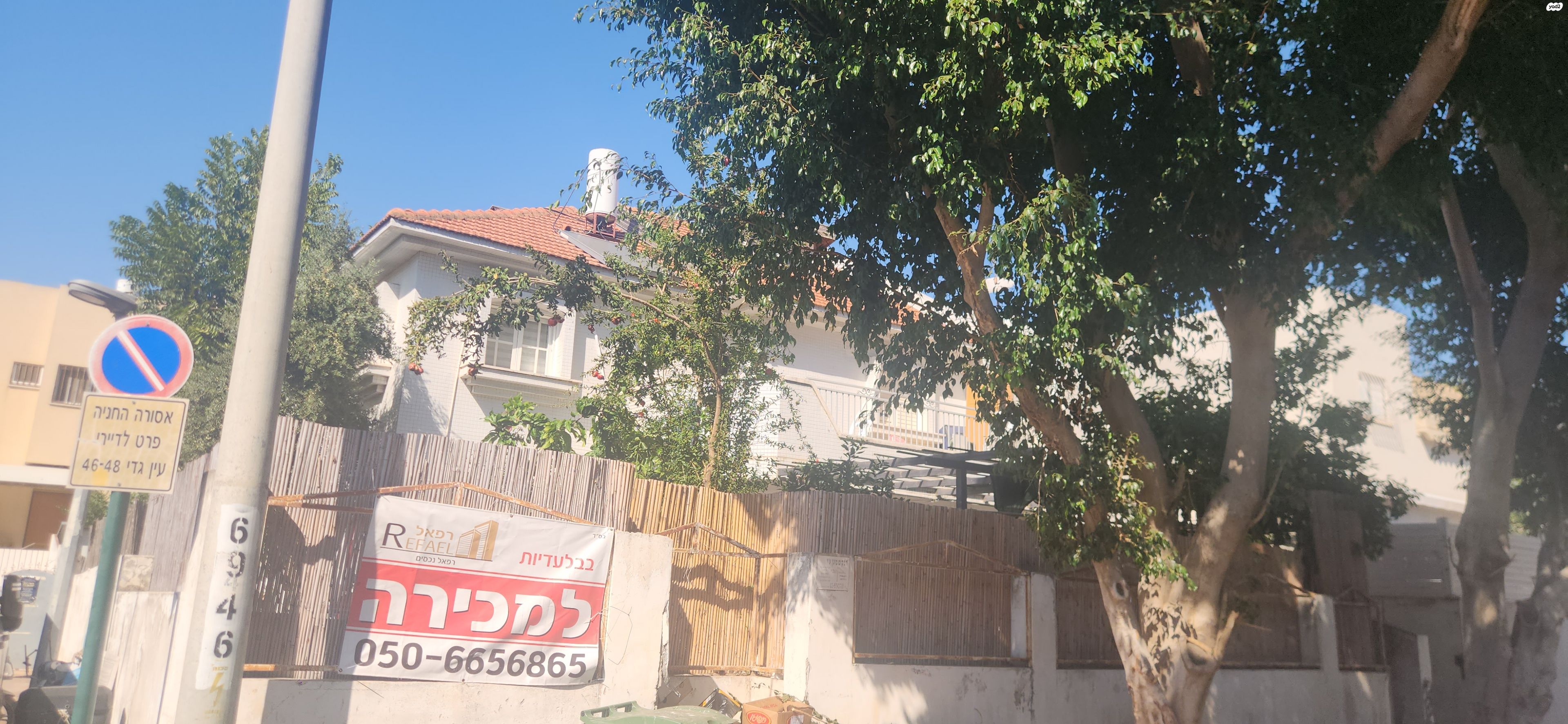 עין גדי 