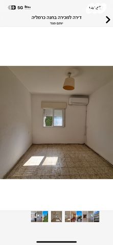 דירה, חנה, חיפה