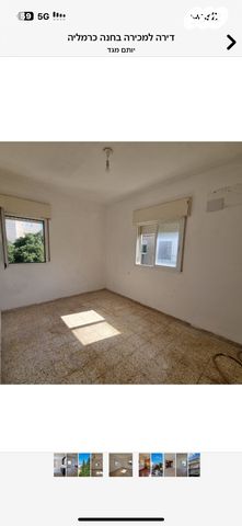 דירה, חנה, חיפה