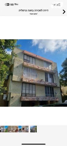 דירה, חנה, חיפה