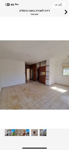 דירה, חנה, חיפה