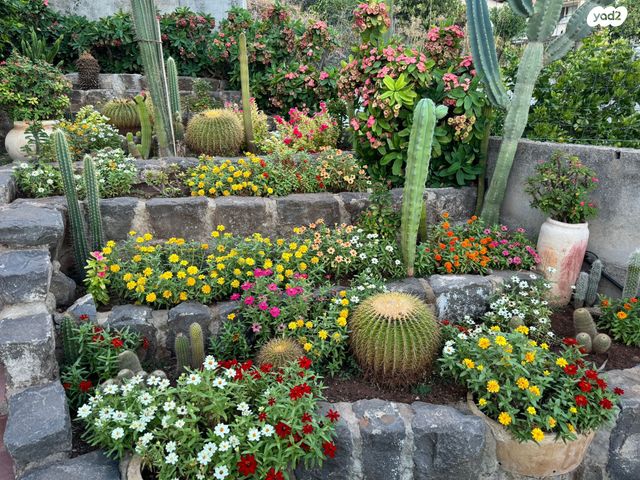 בית פרטי/ קוטג', רקפת, טבריה