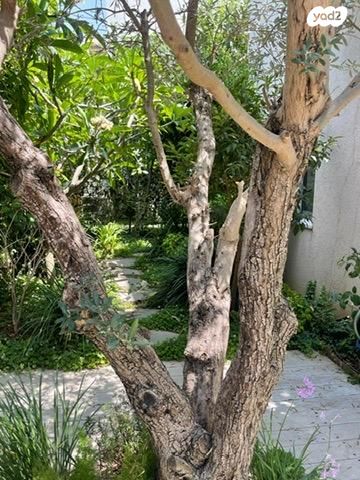 בית פרטי/ קוטג', הזורע 58, קציר