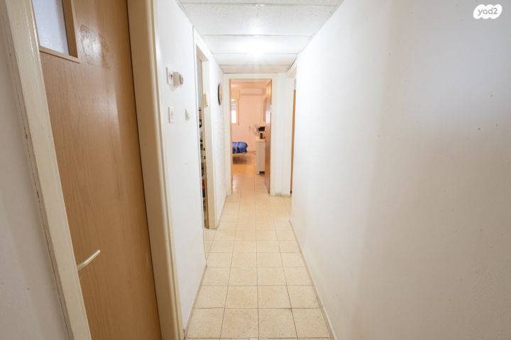 דירה, דבורה, נשר