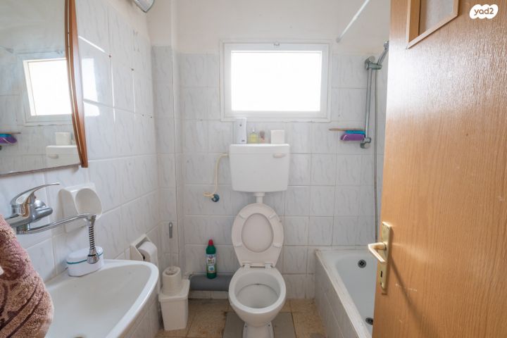 דירה, דבורה, נשר