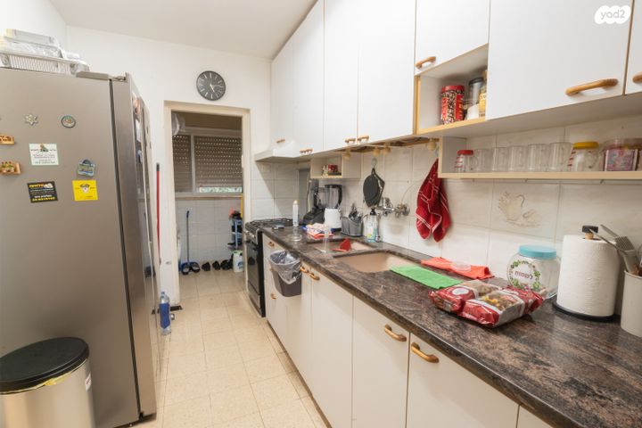 דירה, דבורה, נשר