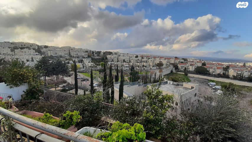 איסר נתנזון 