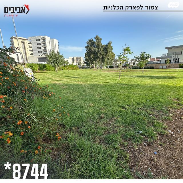 דירת גן, שדרות