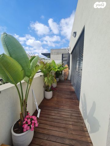 גג/ פנטהאוז, נחמני, לב תל אביב, לב העיר צפון, תל אביב יפו