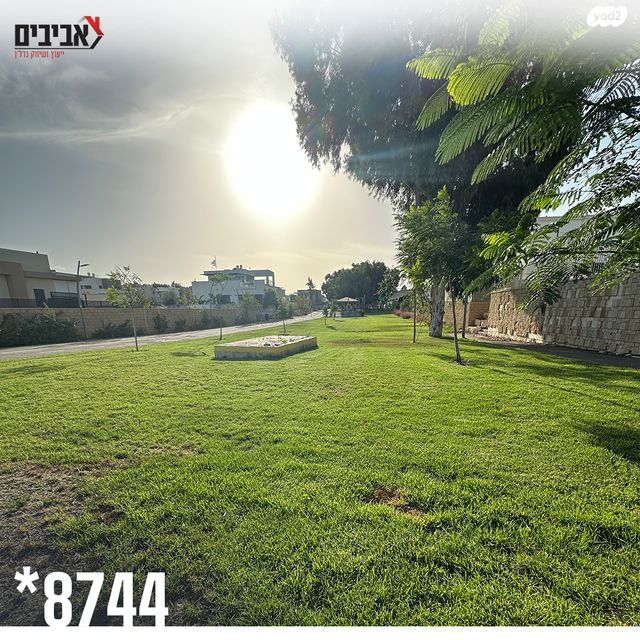 דירת גן, שדרות