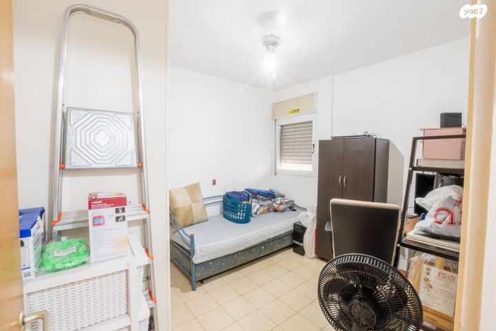 דירה, דבורה, נשר