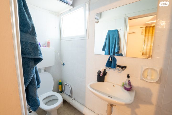 דירה, דבורה, נשר