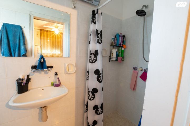 דירה, דבורה, נשר