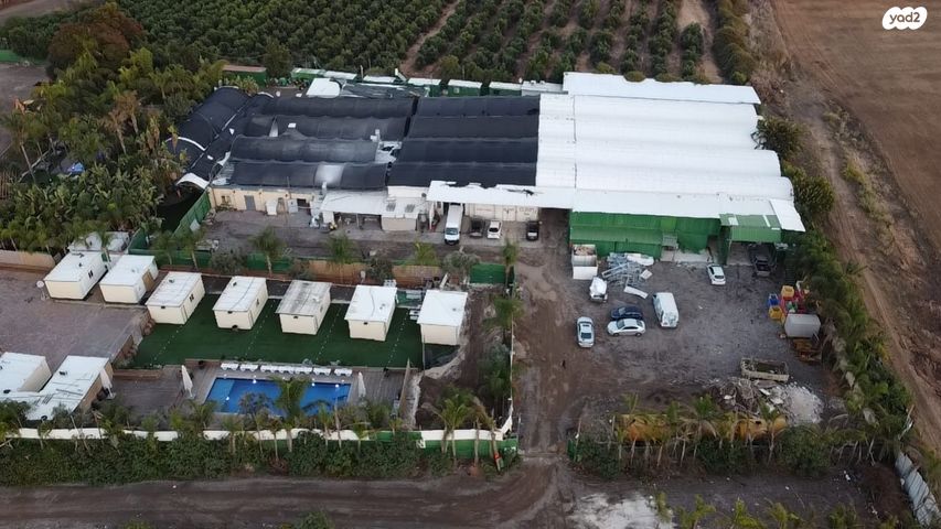 מחסנים, שאר העיר, תל מונד