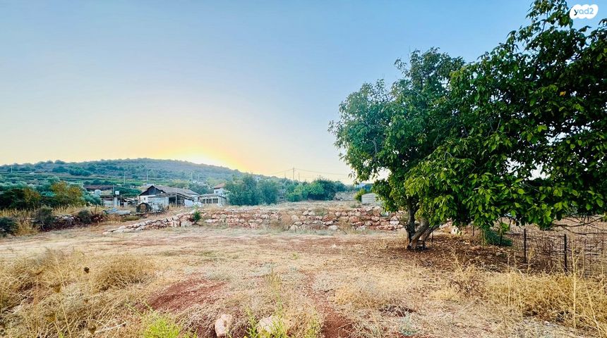 משק חקלאי/ נחלה, כפר שמאי