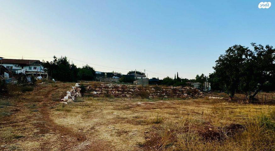 משק חקלאי/ נחלה, כפר שמאי