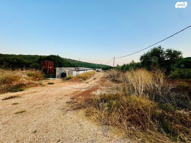 משק חקלאי/ נחלה, כפר שמאי