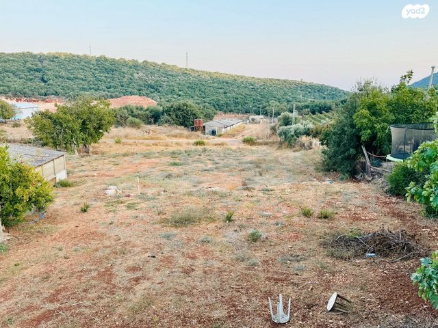 משק חקלאי/ נחלה, כפר שמאי