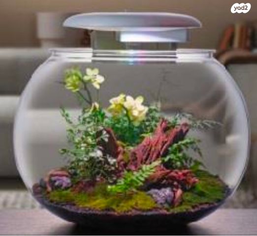 תמונת מודעה - חיות מחמד