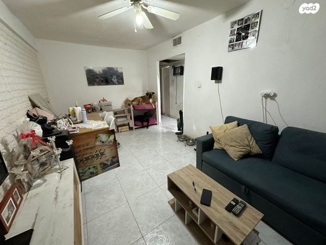 מרבד הקסמים 