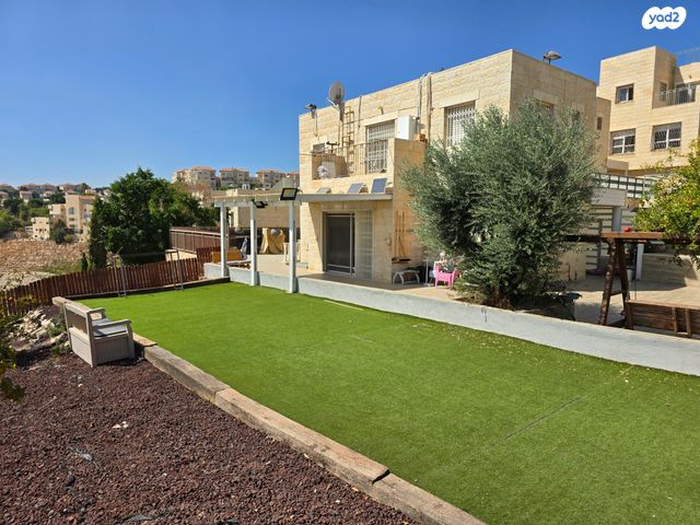 הערבה 