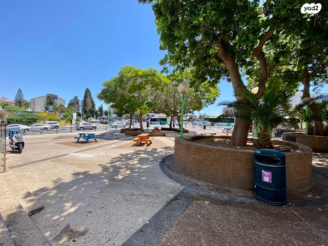 משרדים, שדרות טרומפלדור, זיו, חיפה