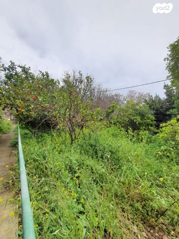 מגרשים, קרית עמל, קרית טבעון