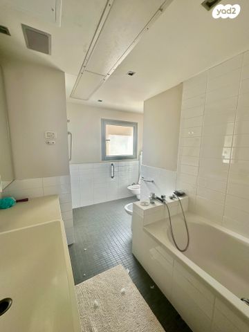 גג/ פנטהאוז, דוד ילין, תל אביב יפו