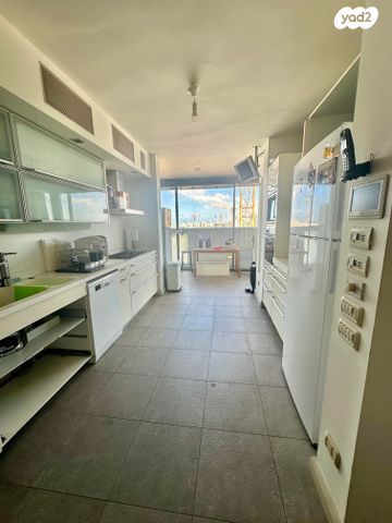 גג/ פנטהאוז, דוד ילין, תל אביב יפו