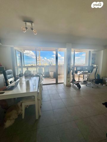 גג/ פנטהאוז, דוד ילין, תל אביב יפו