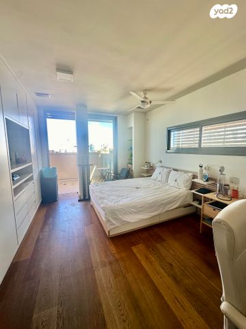 גג/ פנטהאוז, דוד ילין, תל אביב יפו