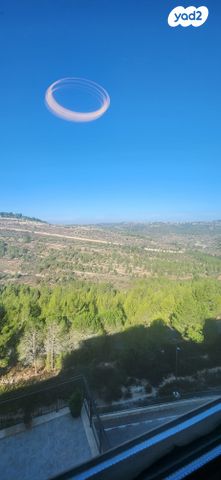 אבנר חי שאקי 