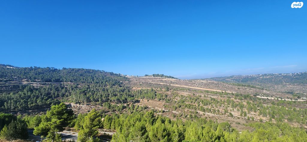 דירה, אבנר חי שאקי, גילה, ירושלים