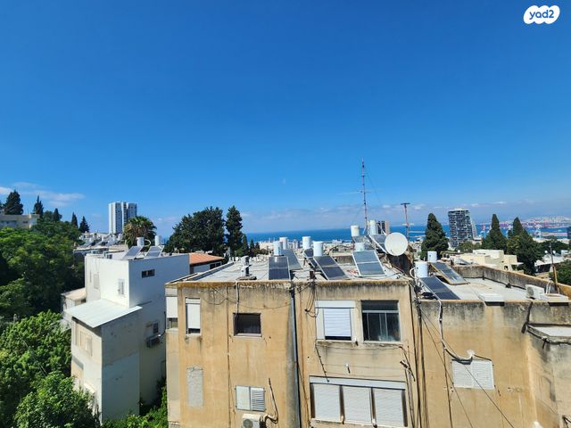 דירה, ארלוזורוב, הדר עליון, חיפה