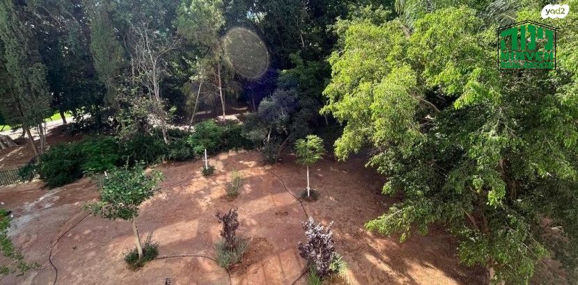 דירה, דב גרונר, רמת אביב ג', תל אביב יפו